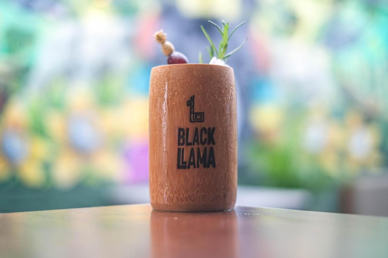 Black Llama Hostel Miraflores Lima Exterior photo