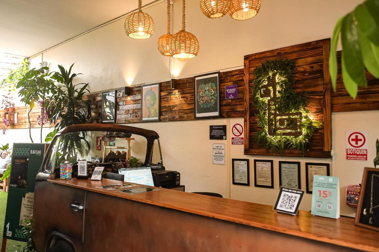 Black Llama Hostel Miraflores Lima Exterior photo