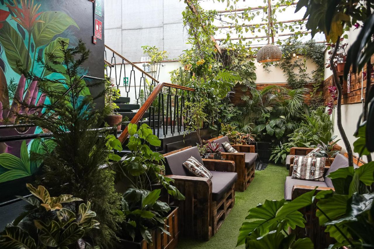 Black Llama Hostel Miraflores Lima Exterior photo